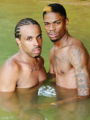Two new-cummers Mister Buck and Damari on the boat