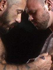 Hot muscle bears Alessio and Rogue do some serious cock-sucking and ass-fucking